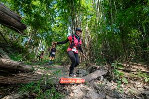 BIB: 
                            <button type="button" onclick="openModal(19390847)" class="btn btn-primary btn-sm float-right btn-popup" data-toggle="modal" data-target=".modal-high-quality">
                        <i class="fas fa-shopping-cart"></i> Add to Cart
                    </button>
                                            <button type="button" onclick="isThisMe(19390847, true)" class="btn btn-success btn-sm float-right btn-popup btn-isme hidden" data-toggle="tooltip" data-placement="bottom" title="นี่คือรูปของคุณใช่ไหม คลิกที่นี่เพื่อเอาเข้าอัลบั้ม">
                        <i class="fas fa-plus"></i> Add to album
                    </button>
                    <button type="button" onclick="isThisMe(19390847, false)" class="btn btn-warning btn-sm float-right btn-popup btn-isnotme hidden">
                        <i class="fas fa-ban"></i> Remove from album
                    </button>